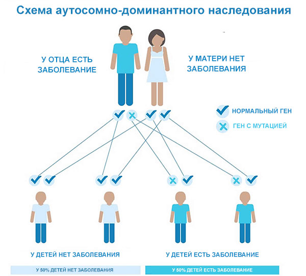 Аутосомно-доминантное наследование