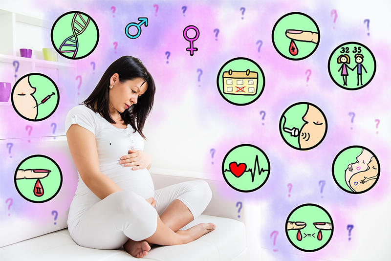 Як визначити стать дитини під час вагітності?