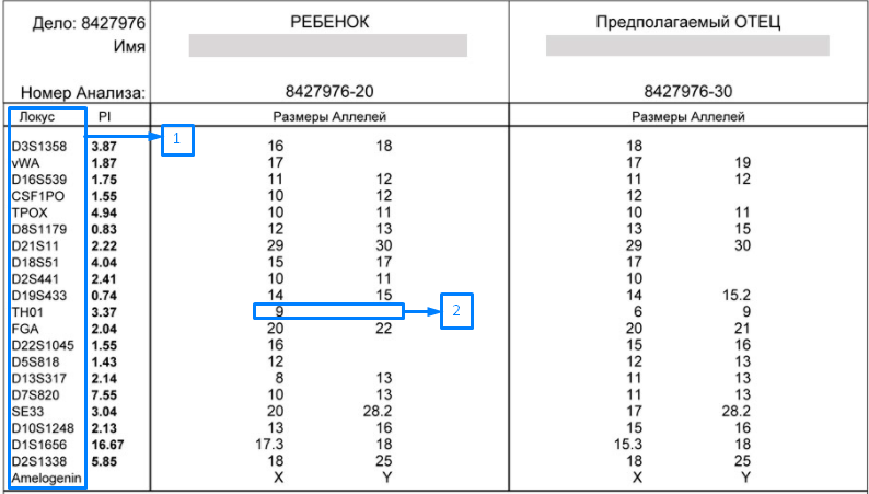 Тест днк санкт петербург